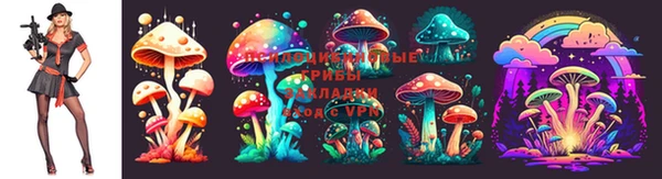 СК Алексеевка