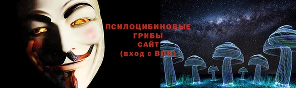гидра Армянск