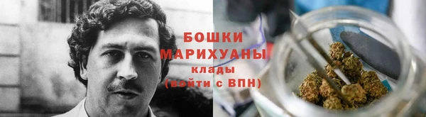 гидра Армянск