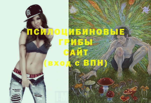 бошки Алзамай