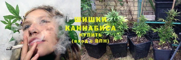 бошки Алзамай